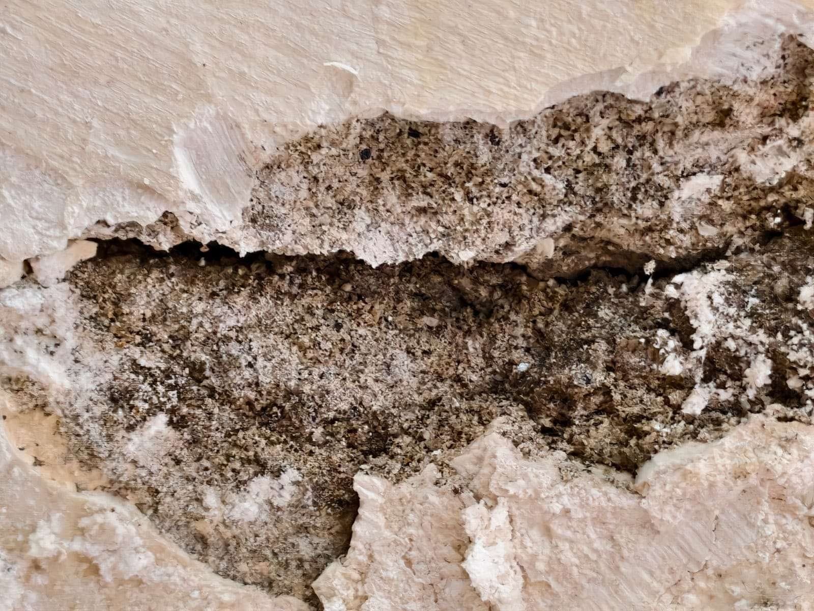 Moisture-damaged plaster: First floor bedroom, near the window