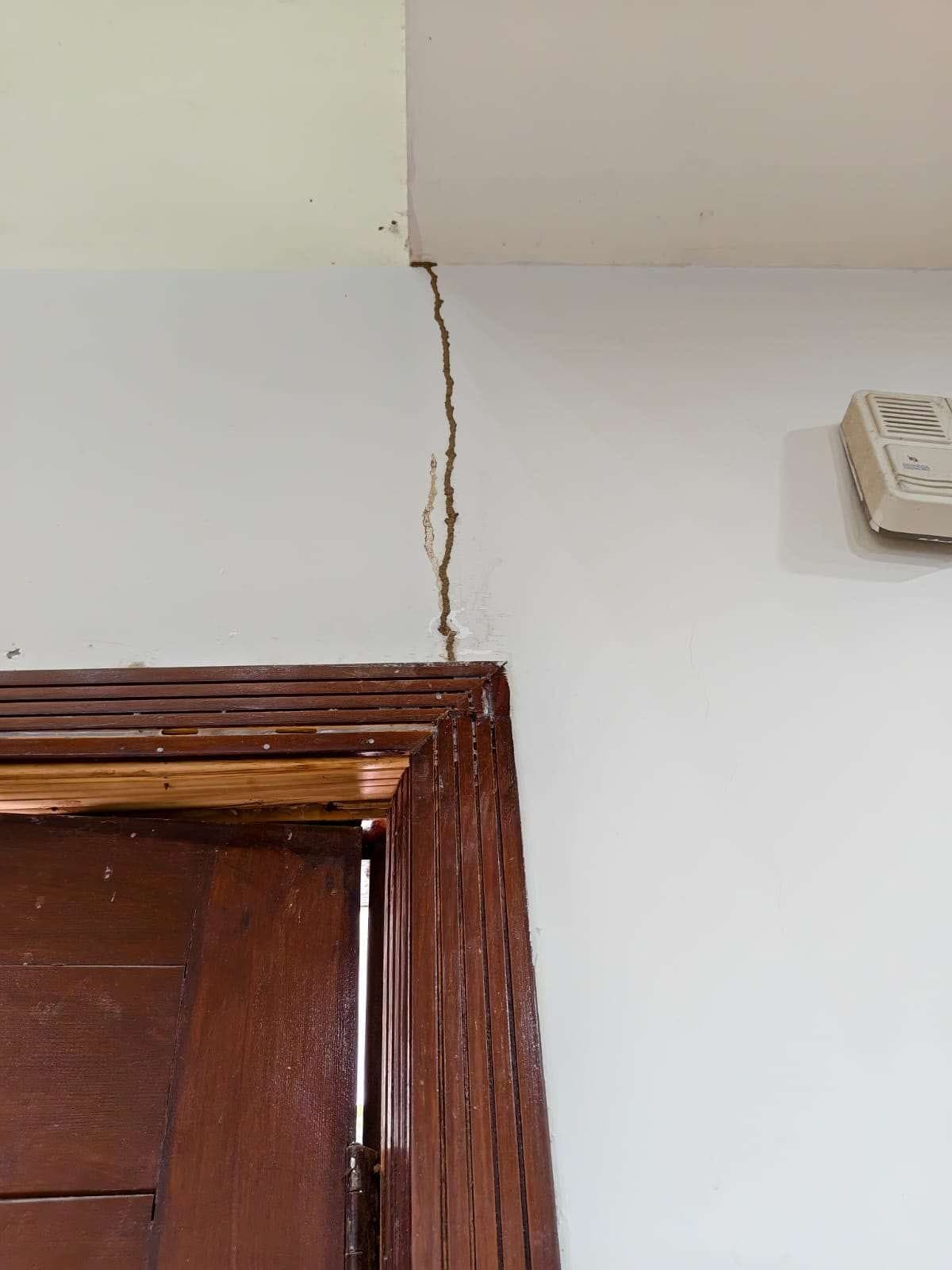 Active termite mud tube: Above a door frame